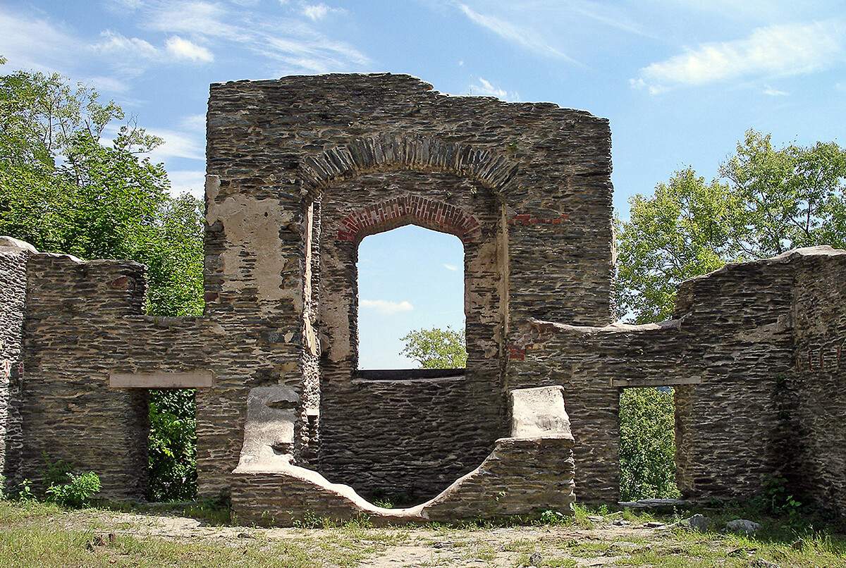 High-resolution slide scan sample to demonstrate final image size